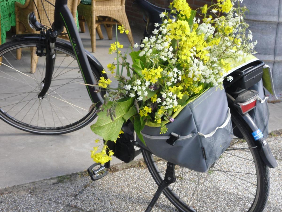 Couette-café Hoeve Spoorzicht *