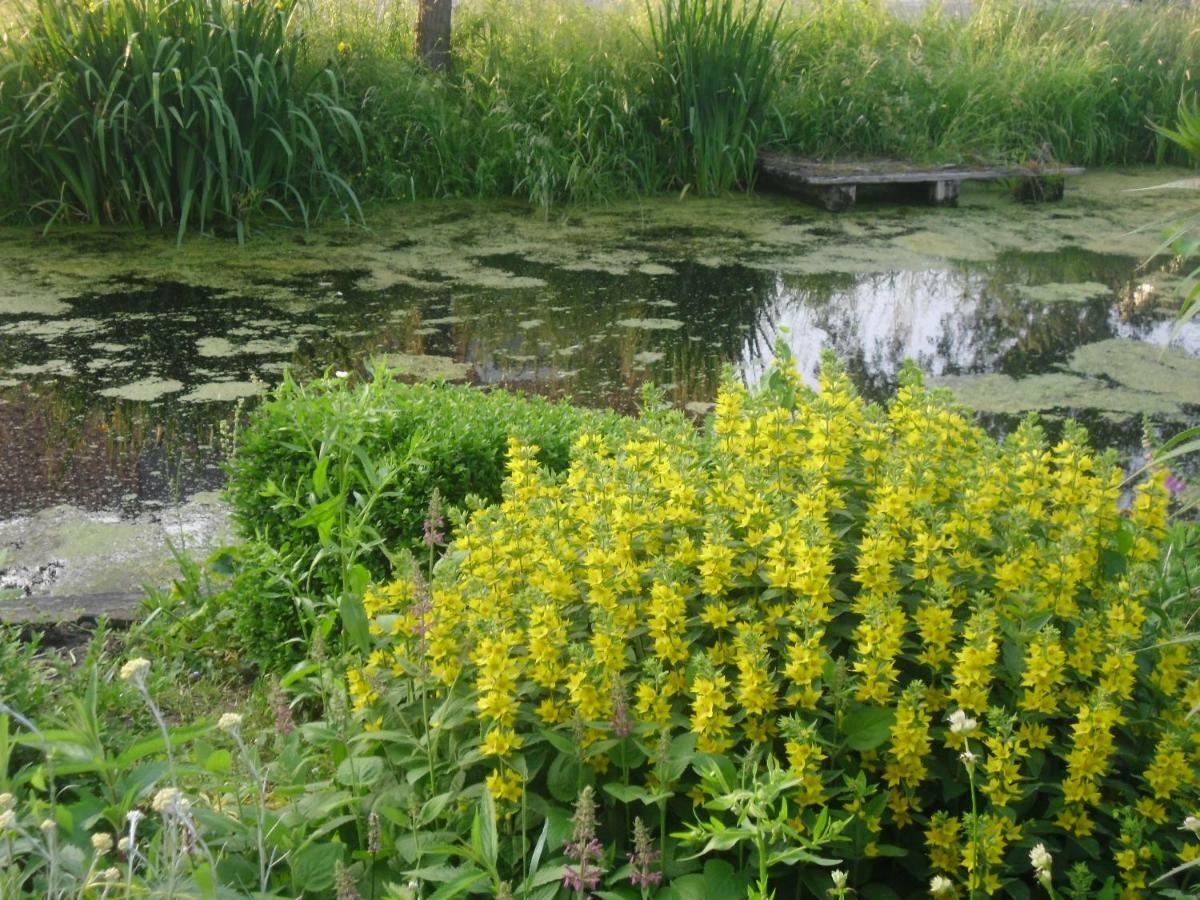 Hoeve Spoorzicht